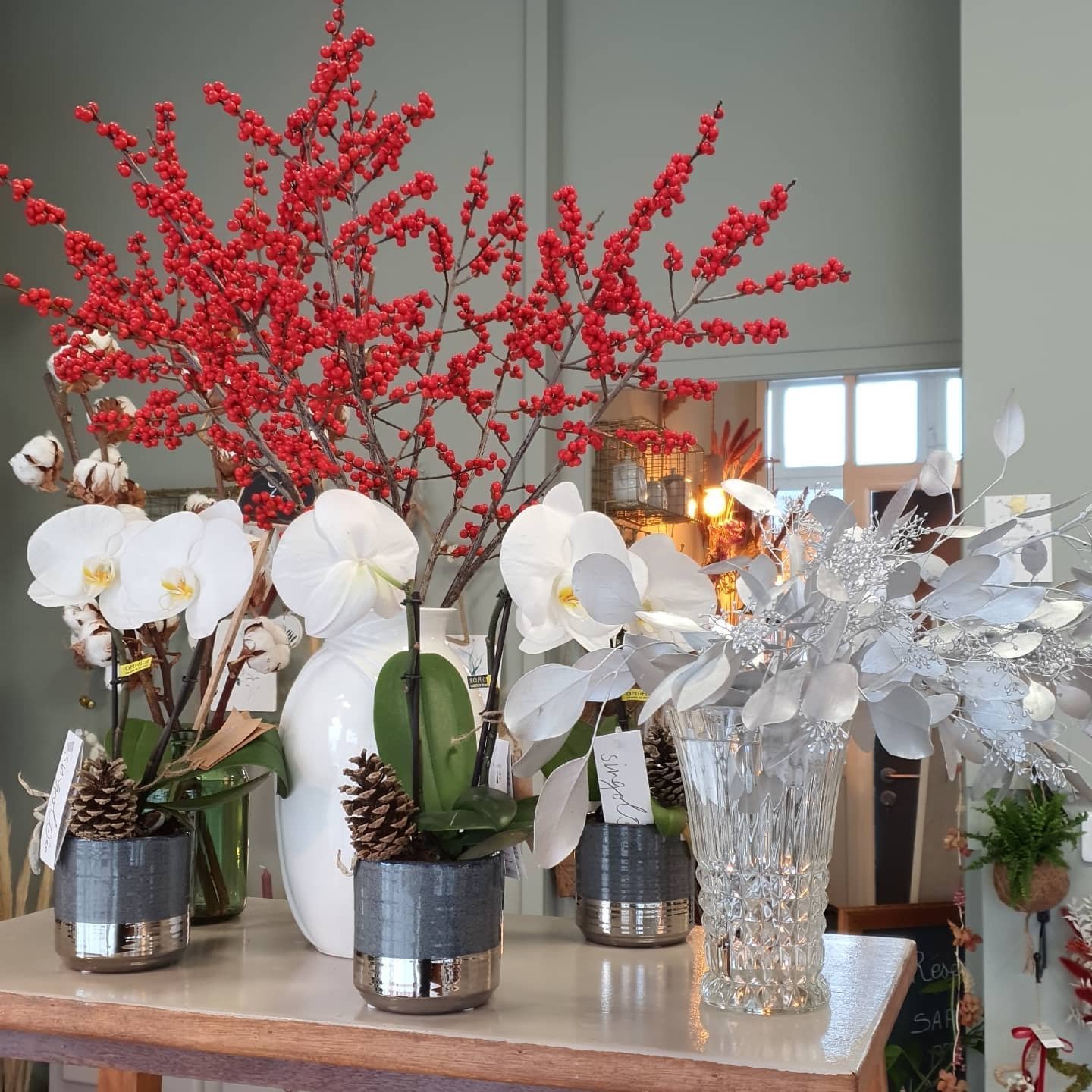 eucalyptus fleurs