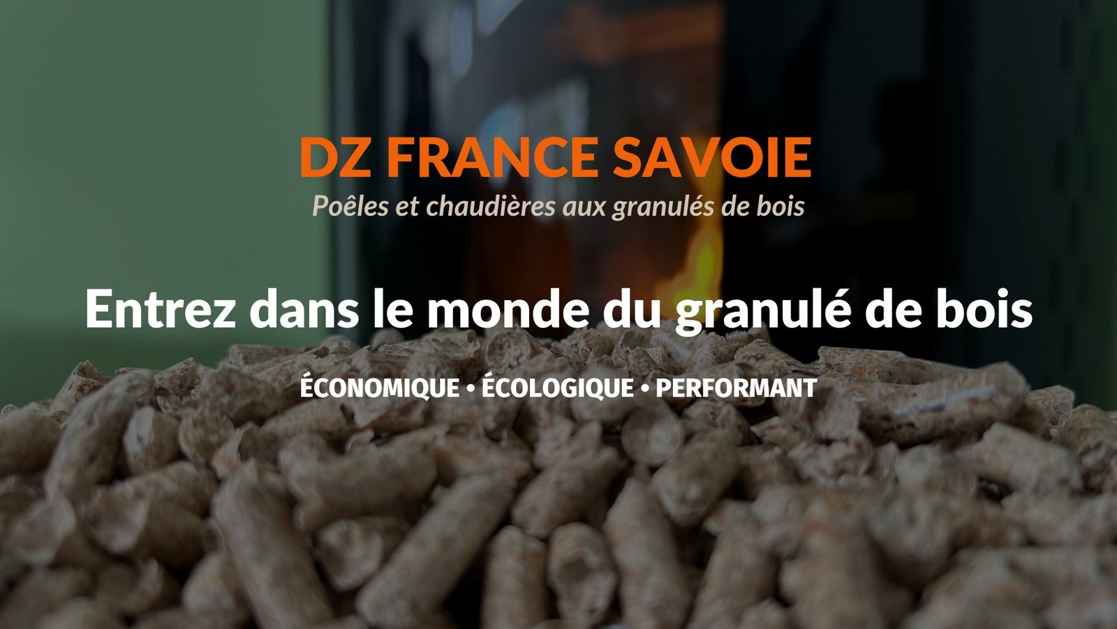 logo dz Savoie