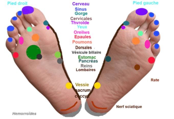 points de réflexologie plantaire